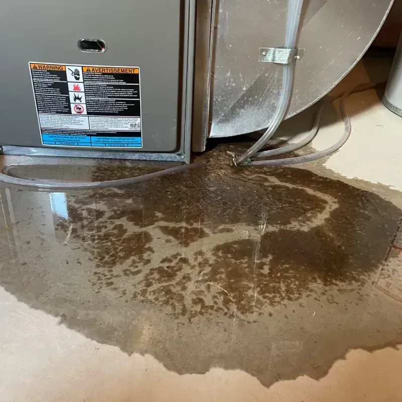 Appliance Leak Cleanup in Combine, TX